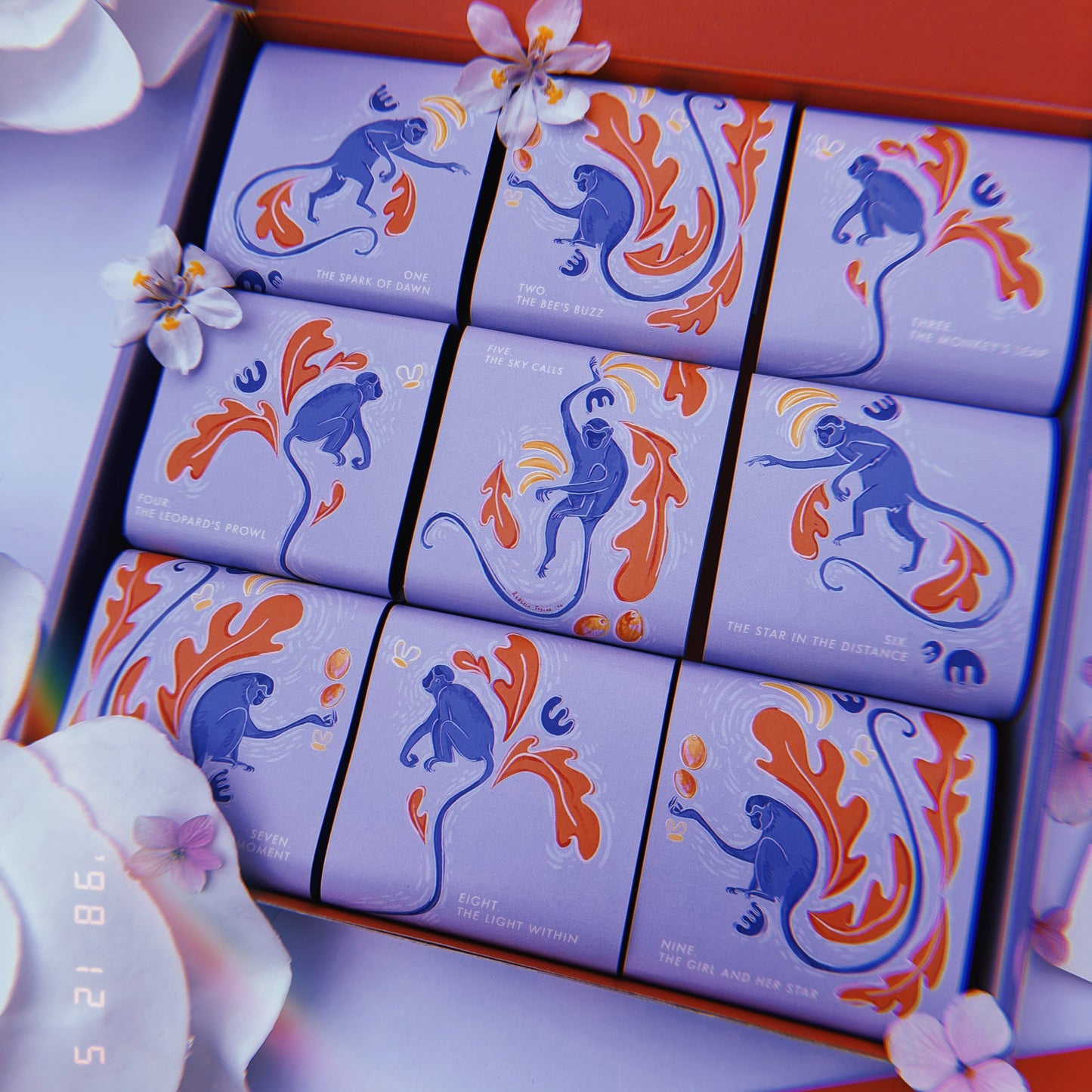 The Dreamer's Journey Gift Box