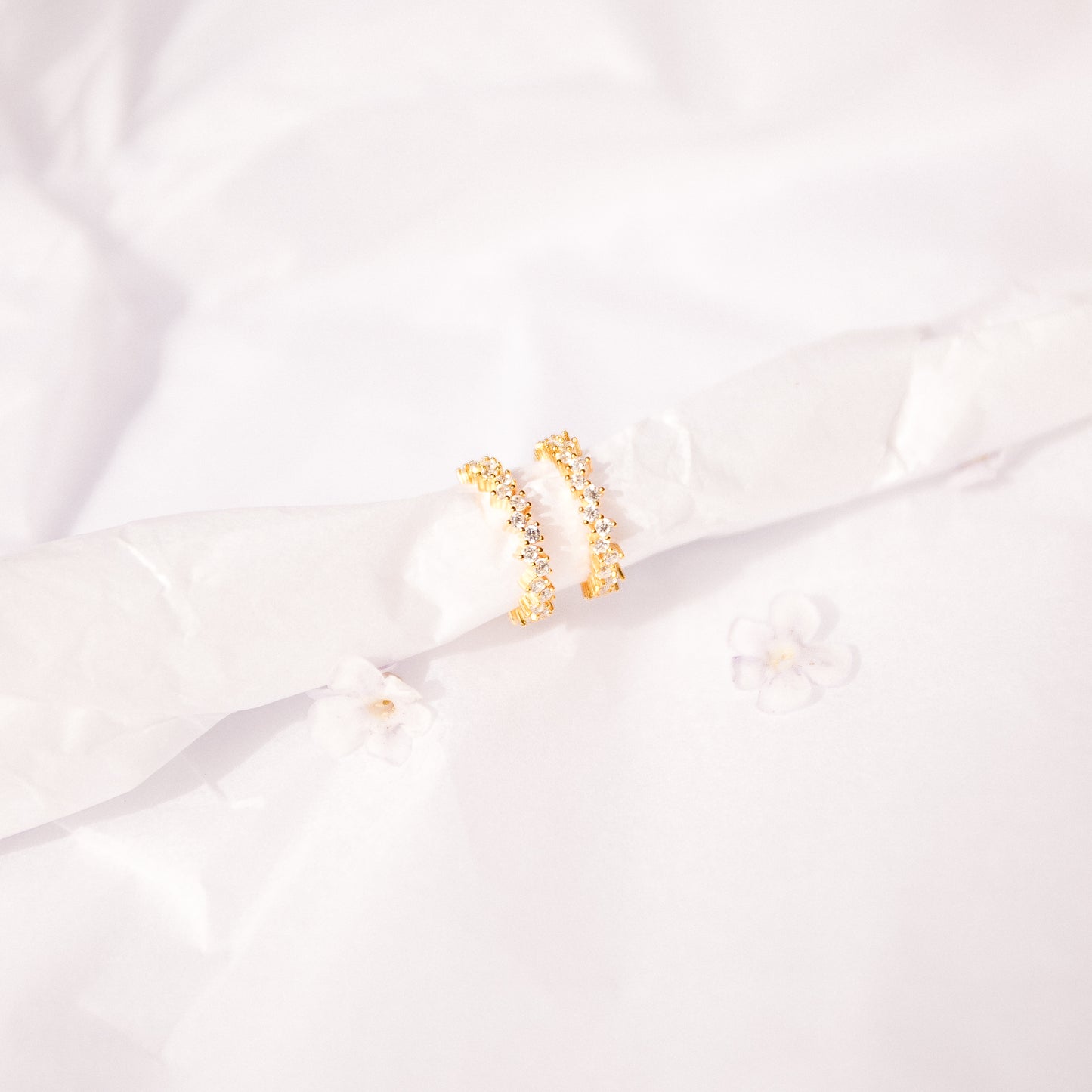 Luminous Hoops