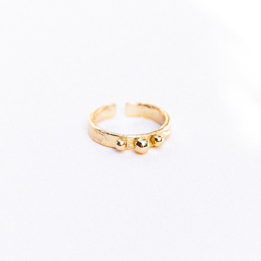 Wise Guys Ring