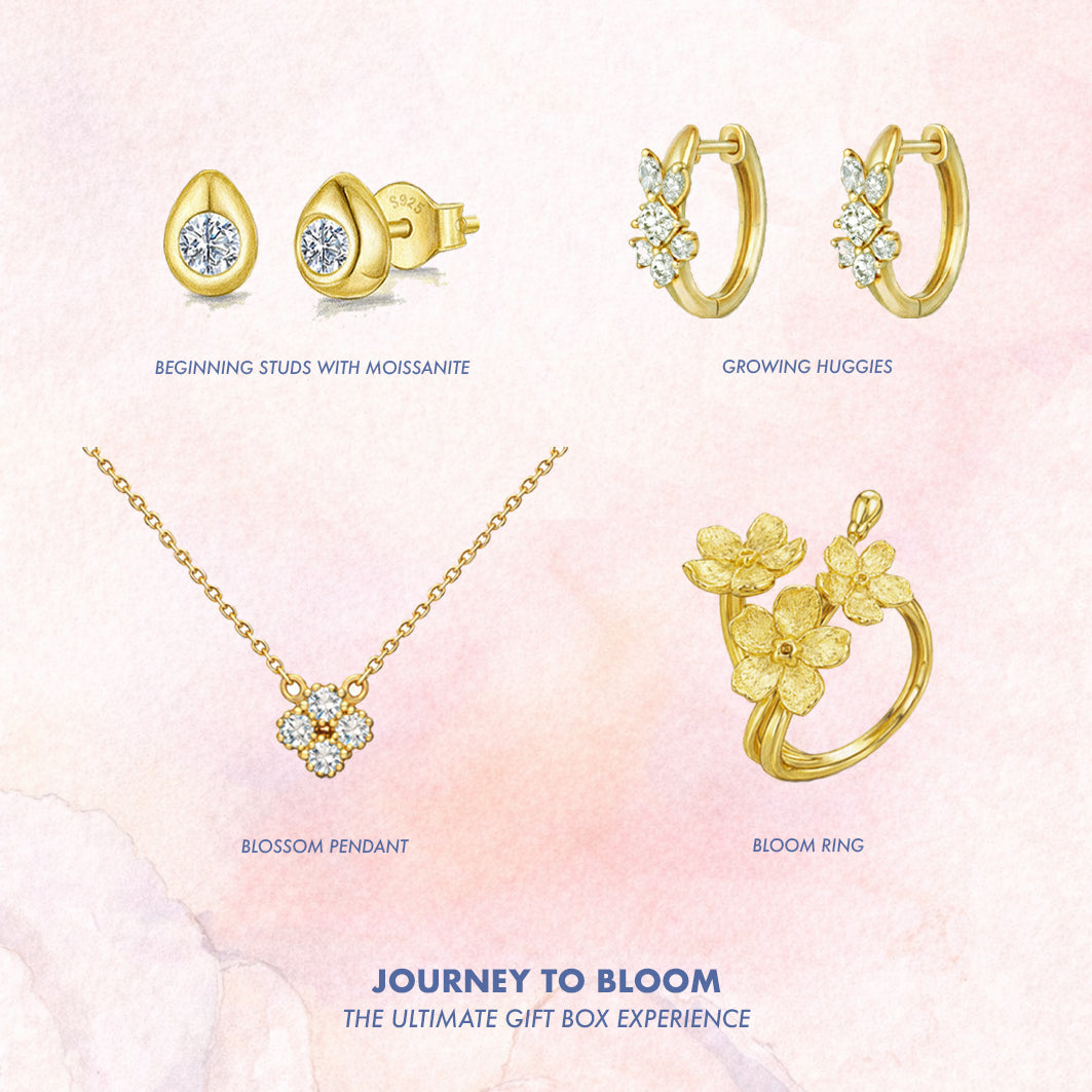 The Journey to Bloom Gift Box