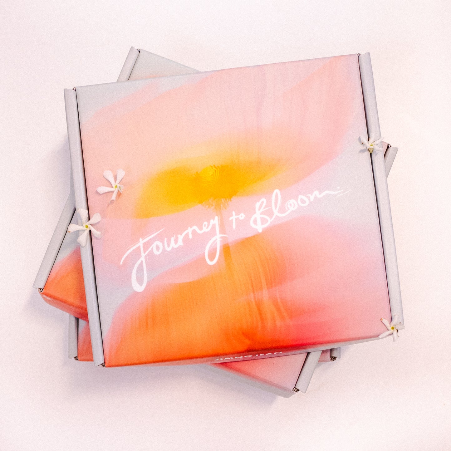 The Journey to Bloom Gift Box
