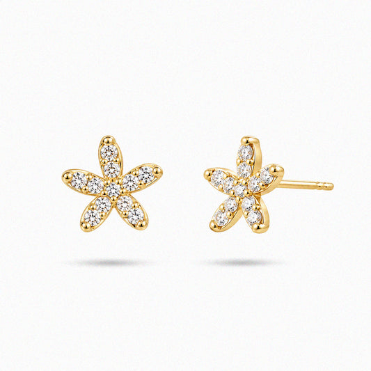 Wild Sesame Studs